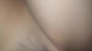 ジンゴロ ジンゴロ