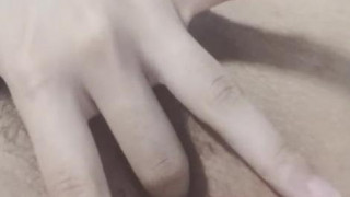 핑쿠핑쿠 핑쿠핑쿠