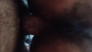 ジンゴロ ジンゴロ