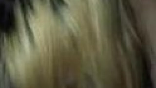 食色性也 食色性也