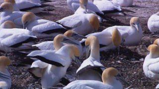 고등학교졸업증명서위조카툑 qb23 rubblish 고등학교졸업증명서위조카툑 qb23 rubblish