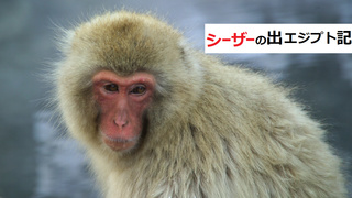 シーザーの出エジプト記