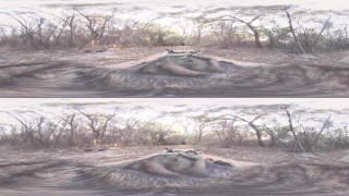 BANGERS-Anya Olsen&Courtney Taylor fucking in the WOODS BANGERS-Anya Olsen&Courtney Taylor fucking in the WOODS