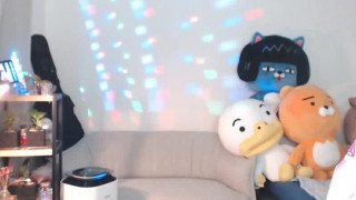 BJ_17091203 BJ_17091203