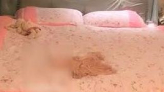 最近非常火的網紅女主播洋大蔥洗澡直播好想插她大屁股 國語對白 最近非常火的網紅女主播洋大蔥洗澡直播好想插她大屁股 國語對白