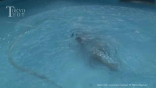 激痛無視令嬢輪姦2本挿し 谷村しおり 激痛無視令嬢輪姦2本挿し 谷村しおり