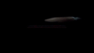 แอบถ่ายสาวไทยอาบน้ำ แต่งตัว ชุด 2 แอบถ่ายสาวไทยอาบน้ำ แต่งตัว ชุด 2