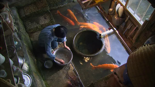 映像詩 里山 高画質版 映像詩 里山 高画質版