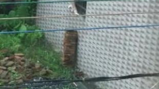 : : 这下直接高潮了 爽了 蛋碎了 金鐘鲍鱼碎大磚 : : 这下直接高潮了 爽了 蛋碎了 金鐘鲍鱼碎大磚