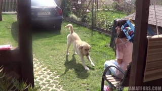 CZECH AMATEURS 99 CZECH AMATEURS 99