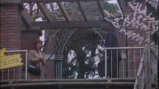 The Japanese Wife Next Door The Japanese Wife Next Door