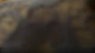 卧室三人行拍着拍着就流水了操着操着白浆就飙出来了 卧室三人行拍着拍着就流水了操着操着白浆就飙出来了