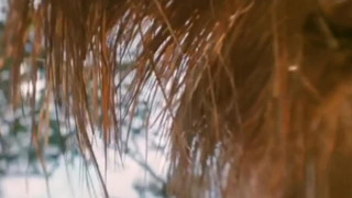 ナイト & ディ ナイト & ディ