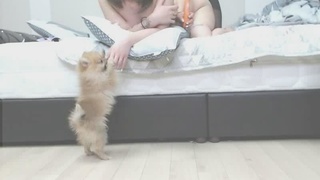 KBJ KOREAN BJ 2017052017