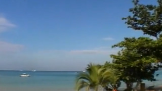 Pleasure Island - FDD-1308 Pleasure Island - FDD-1308