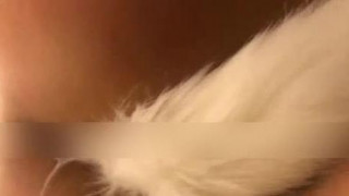 等不到天黑音乐唤起回忆媳妇第一次3P情景 等不到天黑音乐唤起回忆媳妇第一次3P情景