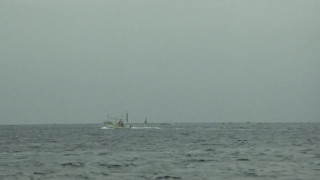 魚影之群 [1983] [日本限制級]