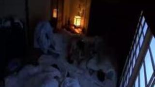 旅行に出れば羽を伸ばしてハメ外す!!旅先ハプニングSEX4時間 旅行に出れば羽を伸ばしてハメ外す!!旅先ハプニングSEX4時間