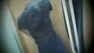 【盗撮】臭いチンポを露出してすそあげをお願いした女性アルバイトのガチリアクションを隠し撮りしてみた! 【盗撮】臭いチンポを露出してすそあげをお願いした女性アルバイトのガチリアクションを隠し撮りしてみた!