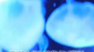 竹田ゆめ ナマ派 初中出し解禁 竹田ゆめ ナマ派 初中出し解禁