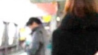 日本の真の仲間2 日本の真の仲間2