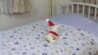 サンタ姿の桜田さくらがモテない男子を慰める!無修正動画 サンタ姿の桜田さくらがモテない男子を慰める!無修正動画