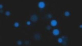 店員 ご奉仕 大沢美加 奉仕 ショップ店員 店員 ご奉仕 大沢美加 奉仕 ショップ店員