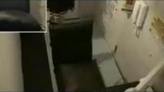 【盗撮】ネカフェを隠し撮りしていたら黒い髪カワイイ女の子の自慰が映ってたwwww 【盗撮】ネカフェを隠し撮りしていたら黒い髪カワイイ女の子の自慰が映ってたwwww