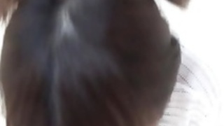 ヘアリージャパンホース ヘアリージャパンホース