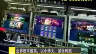 IML-015 浮気調査団チ○ポ~ズ 2 IML-015 浮気調査団チ○ポ~ズ 2