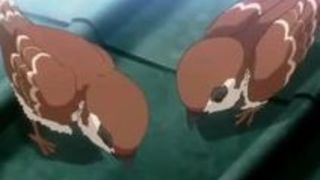 エロアニメ フェラ 爆乳 お姉さん 抜ける エロアニメ フェラ 爆乳 お姉さん 抜ける