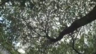 巨乳 着エロ 豊満 おっぱい 乳 巨乳 着エロ 豊満 おっぱい 乳