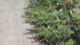 日本人の学生はうずうずする 日本人の学生はうずうずする