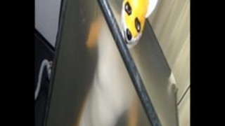 007きぐるみは密封して振動させた 007きぐるみは密封して振動させた