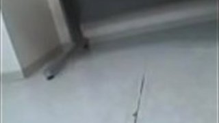 jap - SlutCams.xyz jap - SlutCams.xyz