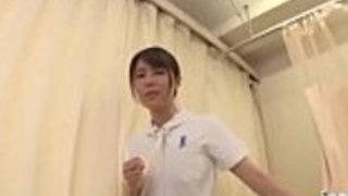 ヤングドキシーがイルミネーションを与える ヤングドキシーがイルミネーションを与える