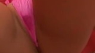 日本のms 日本のms