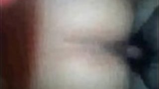 日本のポー 日本のポー