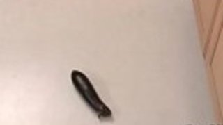 理子は彼女の台所でディルドーの夢を見て、彼女のおもちゃを使ってザーメンをする 理子は彼女の台所でディルドーの夢を見て、彼女のおもちゃを使ってザーメンをする