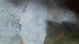 もちこ 2012-11-26 05-16 もちこ 2012-11-26 05-16