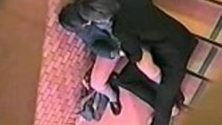 貴重なアジアのひよこが感じた 貴重なアジアのひよこが感じた