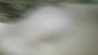 カヤマ・ヒジリが通りに犬とザーメンを貰う カヤマ・ヒジリが通りに犬とザーメンを貰う