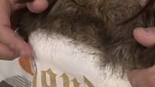 女子学生はいじめを待つことができませんでした 女子学生はいじめを待つことができませんでした