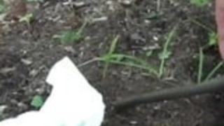 日本の十代はおしっこを見た 日本の十代はおしっこを見た