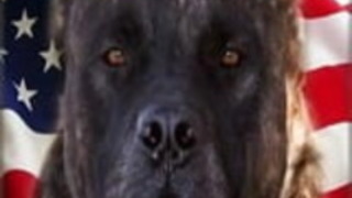 裸のアジアのティーンパート... 6 裸のアジアのティーンパート... 6