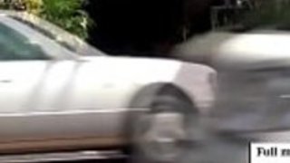 小柄な日本の花屋が店頭で猫を犯した 小柄な日本の花屋が店頭で猫を犯した