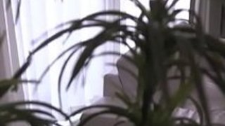 美人お姉さんと濃厚キスからジーンズを脱がしてエロいTバック越しにバックで挿入 美人お姉さんと濃厚キスからジーンズを脱がしてエロいTバック越しにバックで挿入