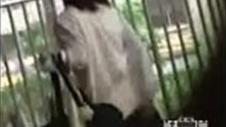 06190509 lowshark63a 06190509 lowshark63a