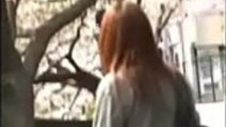 06200515 lowshark65a 06200515 lowshark65a