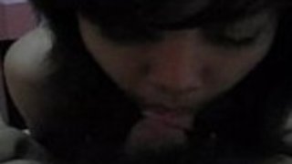 彼女の浸したぬれた猫を耕して閉じる 彼女の浸したぬれた猫を耕して閉じる